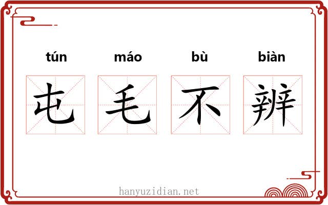 屯毛不辨