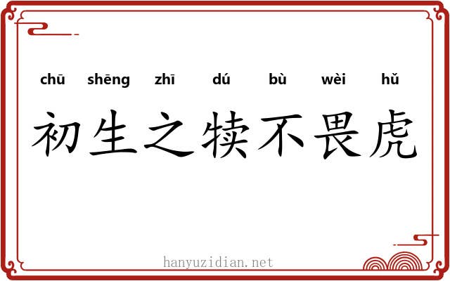 初生之犊不畏虎