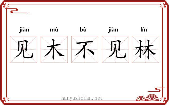 见木不见林