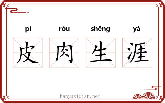 皮肉生涯