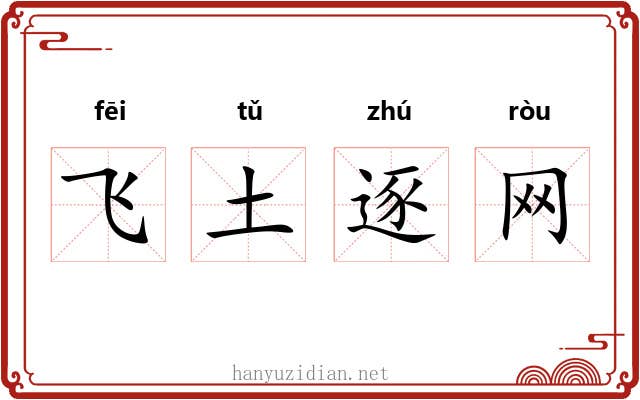 飞土逐网
