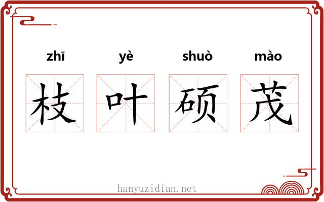 枝叶硕茂