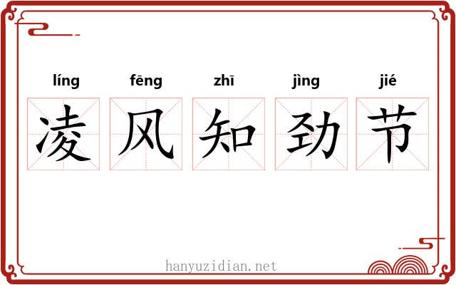 凌风知劲节