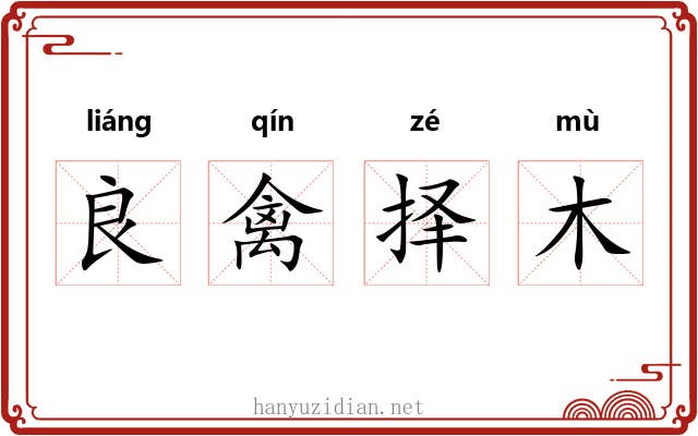 良禽择木