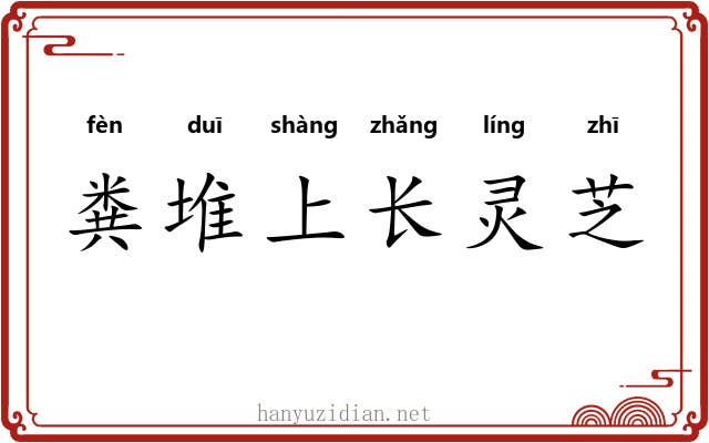 粪堆上长灵芝