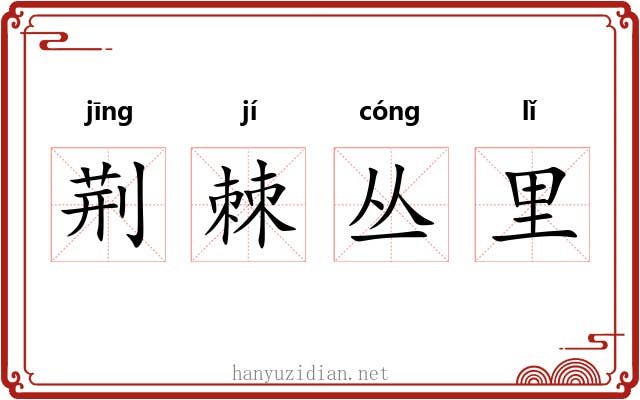 荆棘丛里