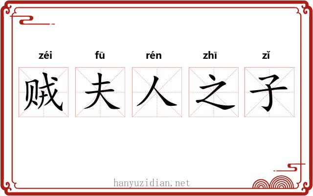 贼夫人之子