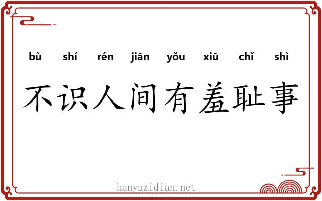 不识人间有羞耻事