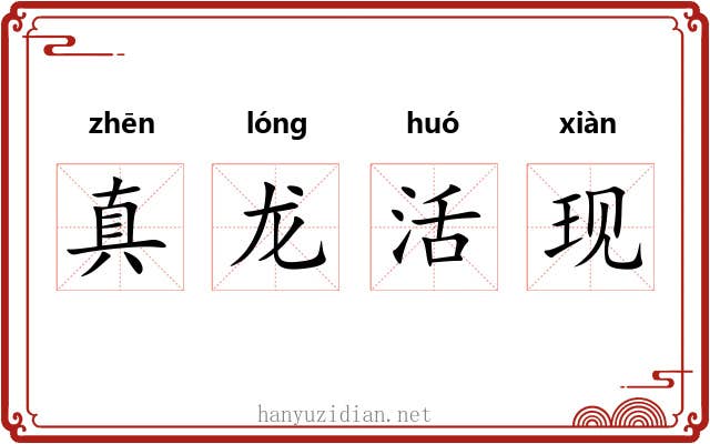 真龙活现