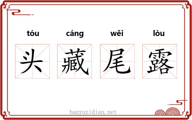 头藏尾露