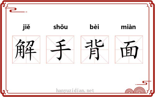 解手背面