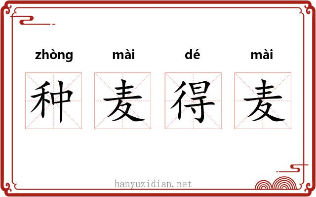 种麦得麦