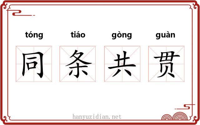 同条共贯