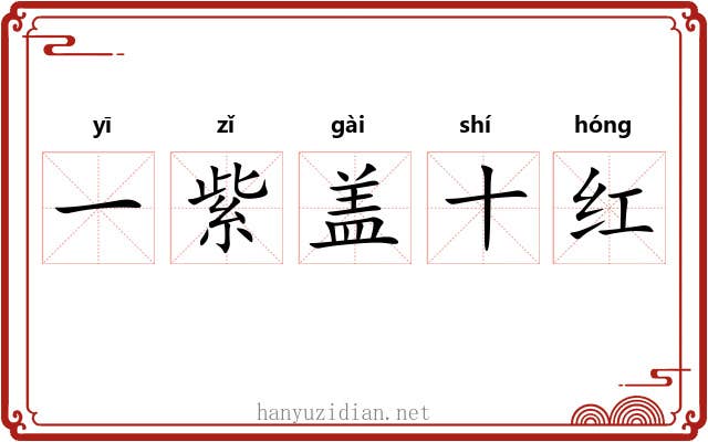 一紫盖十红