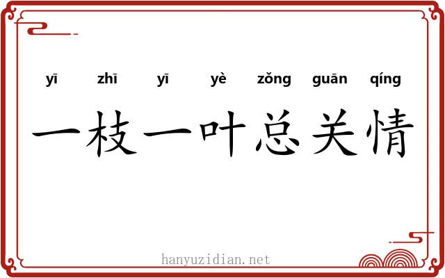 一枝一叶总关情