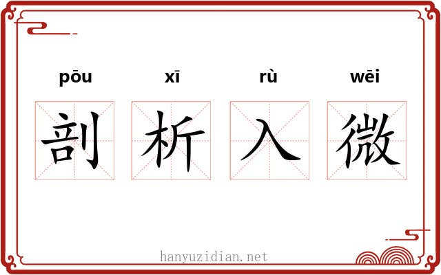 剖析入微
