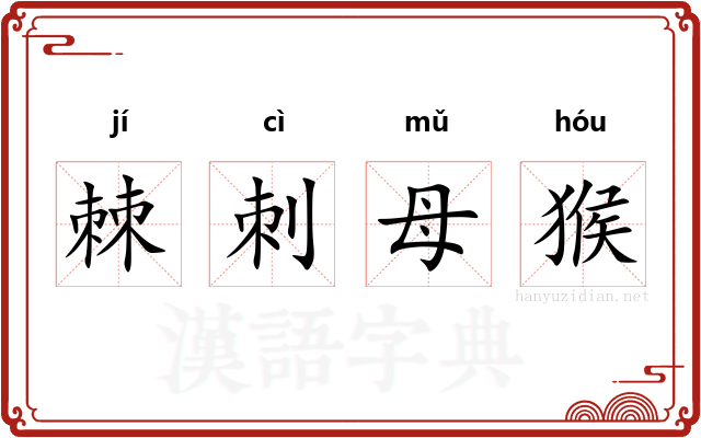 棘刺母猴