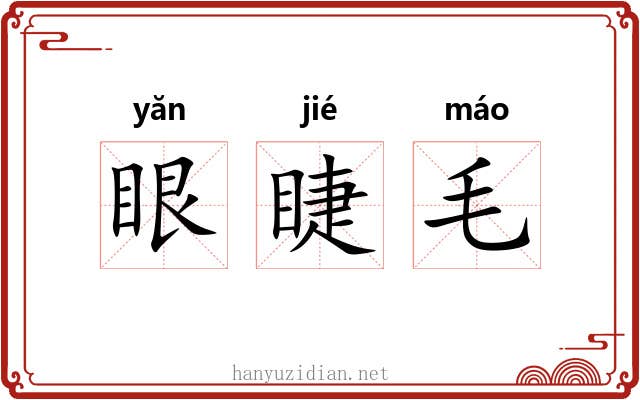 眼睫毛 眼睫毛