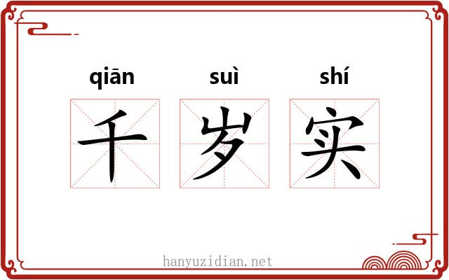 千岁实