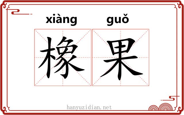 橡果