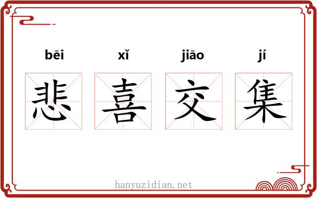 悲喜交集 悲喜交集