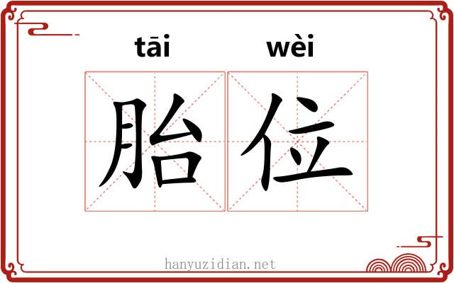 胎位 胎位