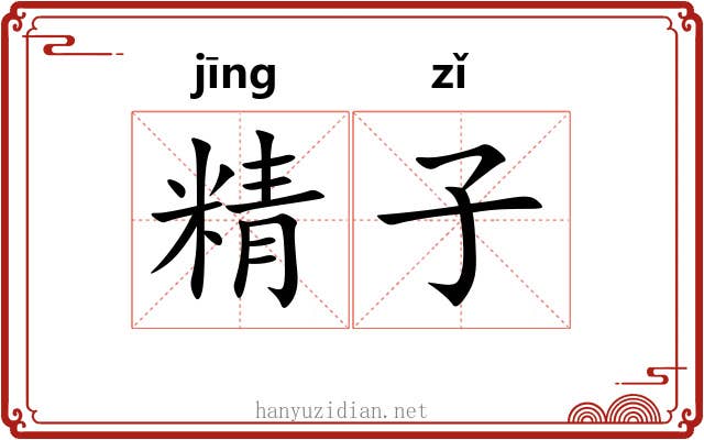 精子 精子