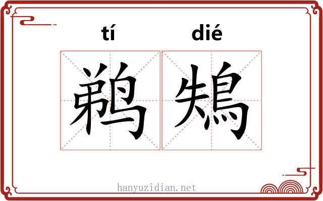 鹈鴩