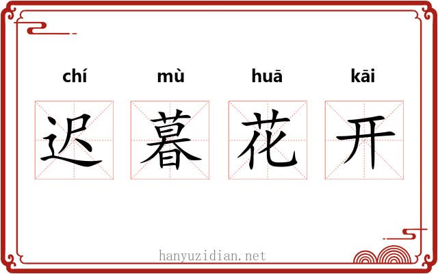 迟暮花开 迟暮花开