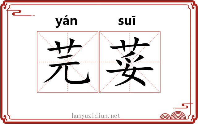 芫荽
