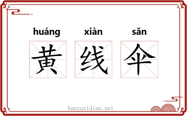 黄线伞 黄线伞