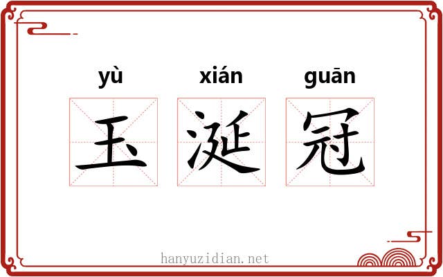 玉涎冠