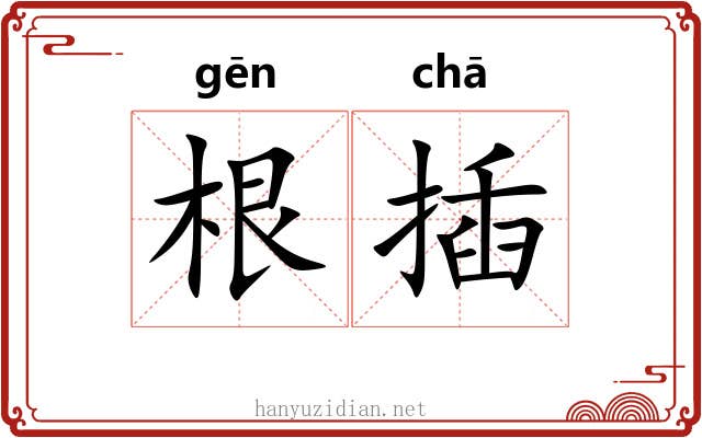 根插