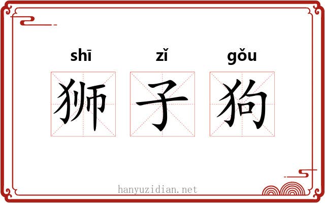 狮子狗 狮子狗