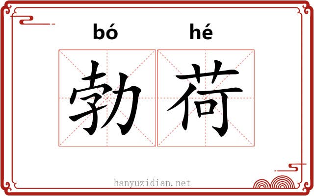 勃荷