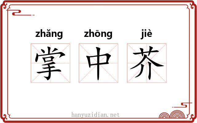 掌中芥