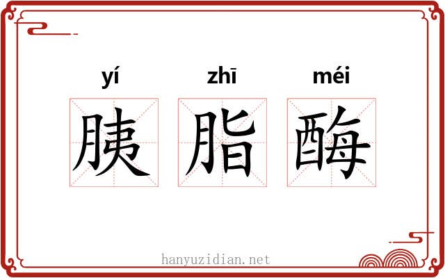 胰脂酶
