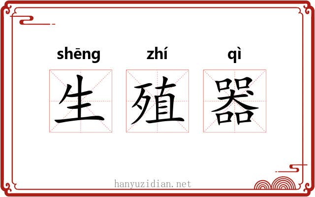生殖器