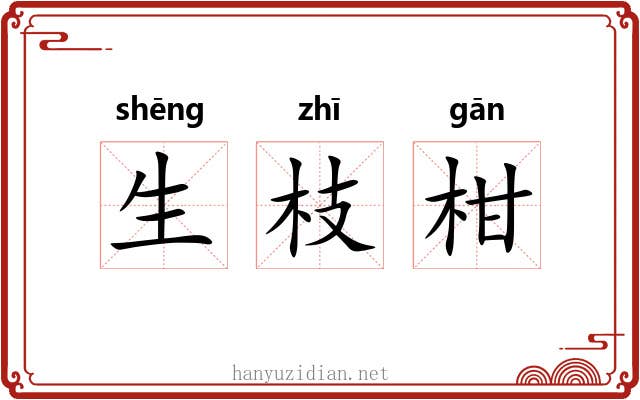 生枝柑