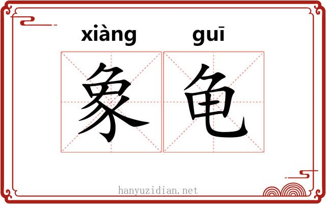 象龟 象龟