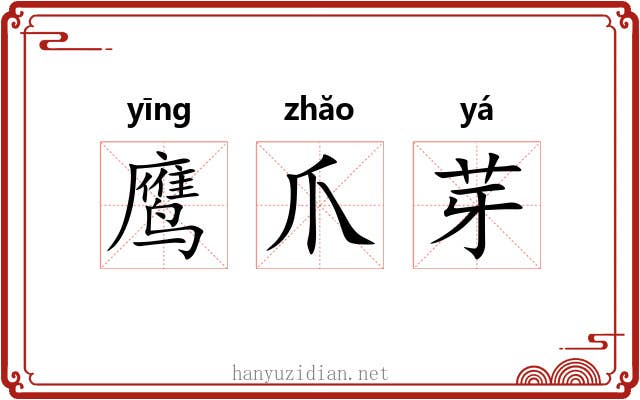 鹰爪芽