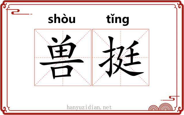 兽挺