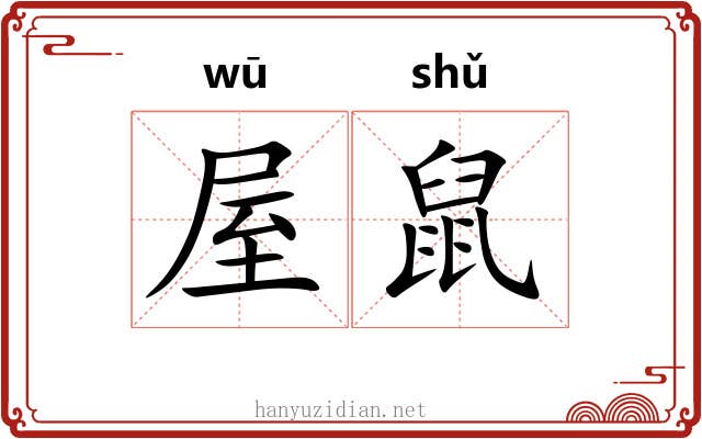 屋鼠