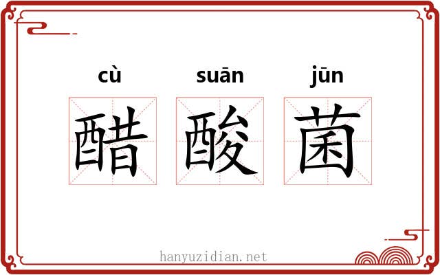 醋酸菌