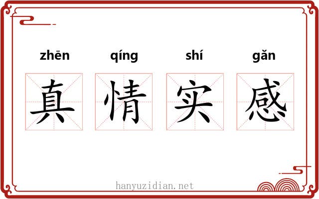 真情实感 真情实感