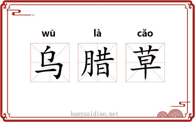 乌腊草