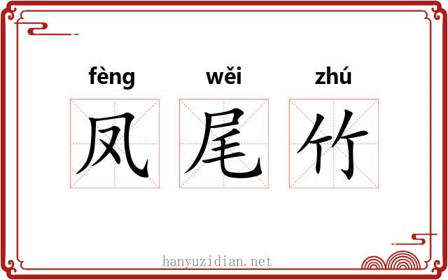 凤尾竹 凤尾竹