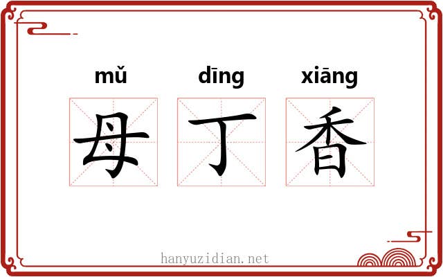 母丁香 母丁香