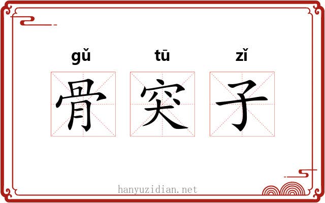 骨突子