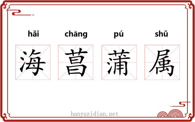 海菖蒲属 海菖蒲属